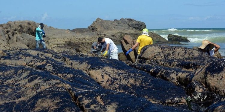 Voluntários dedicam tempo livre e arriscam a própria saúde para limpar praias no Ceará