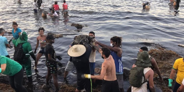 Manchas de óleo já atingiram 21 praias do Ceará