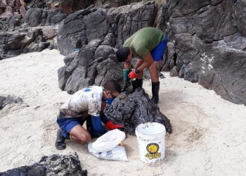 Ceará terá contenção para evitar que óleo chegue a rios