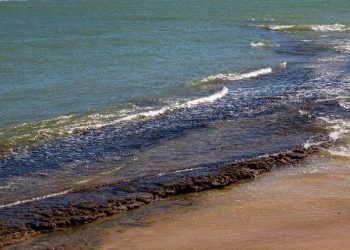 Manchas da ignorância com uma pitada de ódio – Por Sandro Leonel