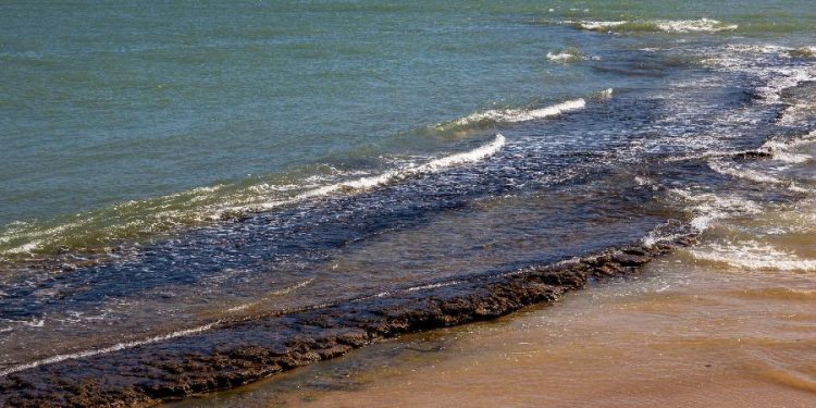 Manchas da ignorância com uma pitada de ódio – Por Sandro Leonel