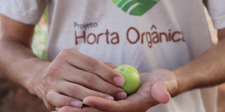Projeto da UFCA promove conscientização sobre importância de hortas orgânicas