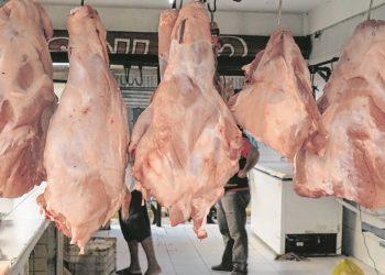 Enquanto 42 equipamentos estão sem registro, outros 99 estão fechados. Com isso, cresce venda da "carne de moita"