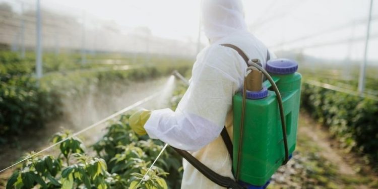 Governo Bolsonaro libera mais 57 agrotóxicos; total de registros em 2019 chega a 439