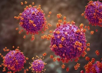 Novo tipo do vírus HIV é encontrado pela primeira vez em 20 anos