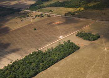(Foto: Araquém Alcântara/WWF-Brasil)