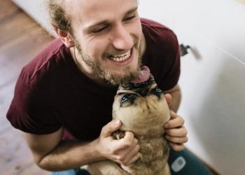 Homem morre ao contrair infecção rara através de lambida de cachorro