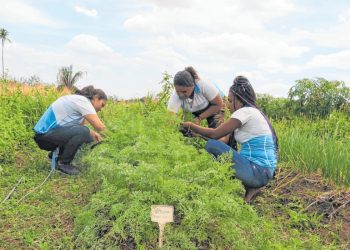 As estudantes já desenvolveram xampu, sabonete e óleos (Foto: Antonio Rodrigues)