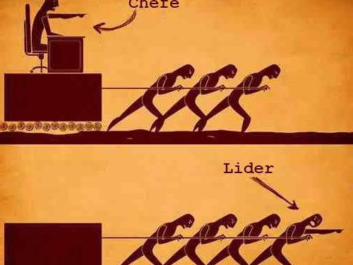 Chefia e Liderança – Por Hermínia Rachel Saraiva