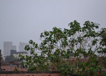 (Foto: André Costa)