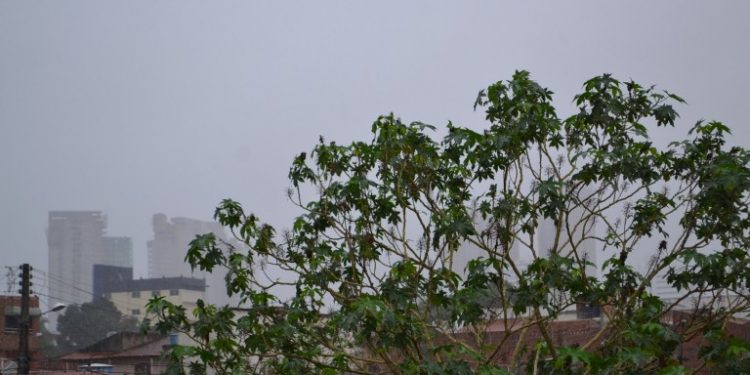 Após 14 dias, chove na região do Cariri