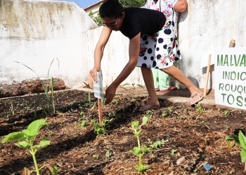 Os moradores passaram por formações teóricas e práticas durante dois meses (Foto: Divulgação/IFCE)