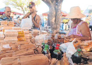 Para melhorar os resultados, analista aponta ser preciso haver diversificação da atividade econômica das cidades do interior