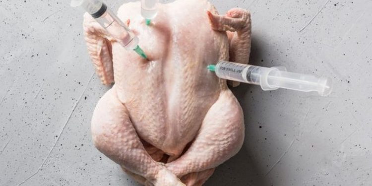 Por que o uso de antibióticos na agropecuária preocupa médicos e cientistas