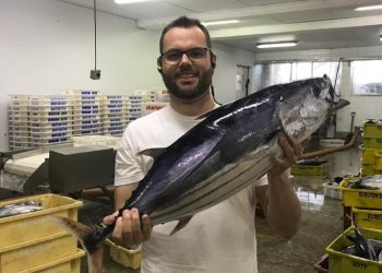 ‘Peixe é um bicho inteligente. Quando vê óleo, foge’, afirma secretário da Pesca