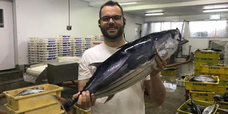 ‘Peixe é um bicho inteligente. Quando vê óleo, foge’, afirma secretário da Pesca