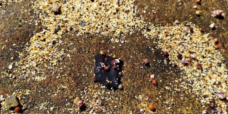 Manchas de óleo atingem Abrolhos, 1ª unidade de proteção marinha do país