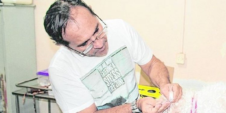 Estado do Ceará tem carência de centros de zoonose