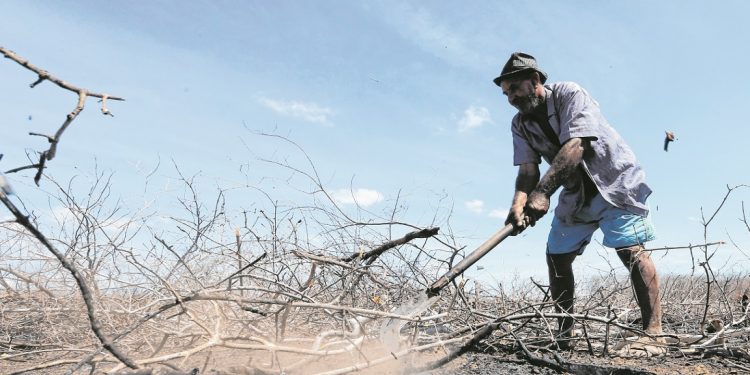Países africanos, França e Brasil se unem para o enfrentamento à seca no Semiárido cearense