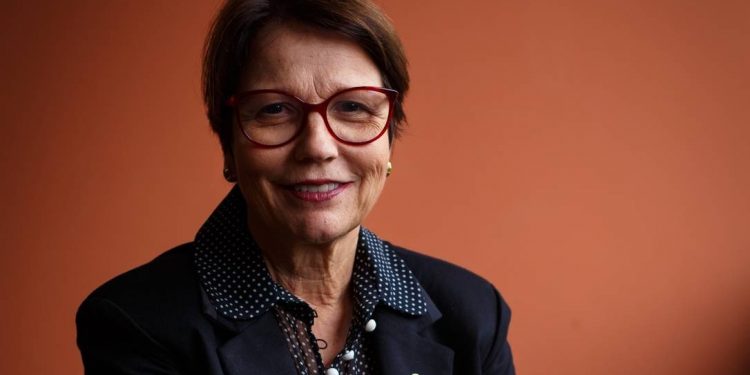 Preço da carne não vai voltar a patamar anterior, diz ministra da Agricultura