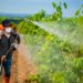 Ministério da Agricultura libera o registro de mais 36 agrotóxicos