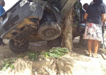 Veículo só parou ao bater em uma árvore às margens da rodovia (Foto: Arquivo pessoal)