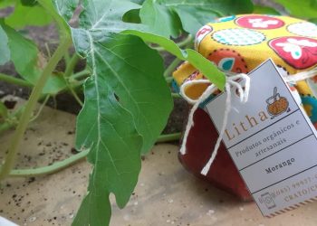 Geleias são produzidas a partir de itens da agricultura familiar e divulgadas em aplicativo (Foto: Arquivo pessoal)