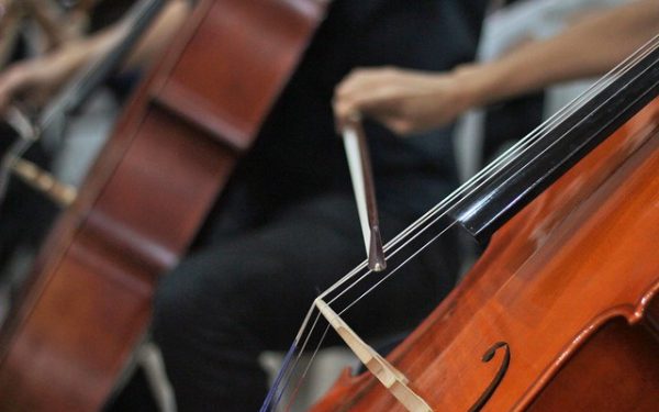 UFCA seleciona professores substitutos; saiba como se inscrever