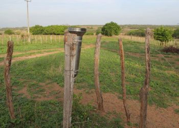As 184 cidades do Ceará têm volume de chuva monitorado por voluntários (Foto: Honório Barbosa)