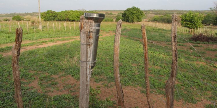 Rede de voluntários monitora volume de chuva nas 184 cidades do Ceará