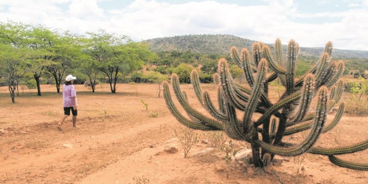 Ausência do El Niño e La Niña modifica análise para quadra chuvosa