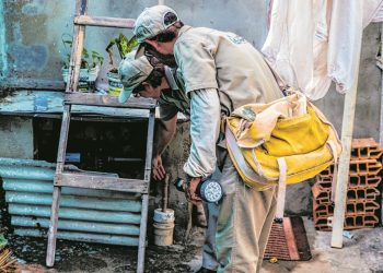 Surtos de dengue e Febre do Nilo preocupam Ceará em 2020