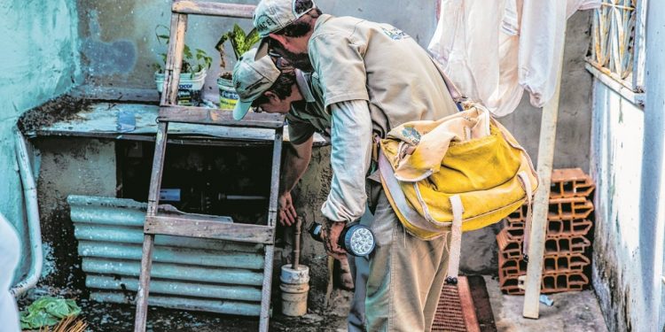 Surtos de dengue e Febre do Nilo preocupam Ceará em 2020