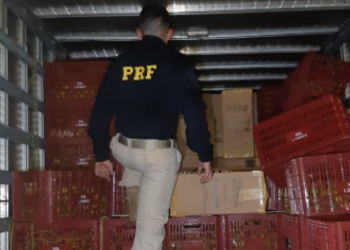 Carga de cigarros apreendida em Várzea Alegre (Foto: PRF/Divulgação)