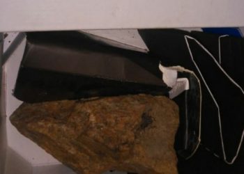 (Foto: Reprodução)