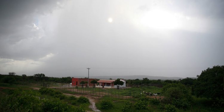 Chove em 28 cidades do Ceará nas últimas 24 horas