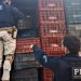 Polícia apreende carga de cigarros contrabandeados avaliada em R$ 450 mil; dois homens são detidos