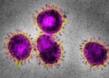 Vírus desconhecido que matou uma pessoa na China começa a se espalhar