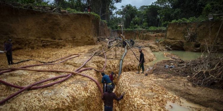 Projeto do governo libera exploração econômica ampla em terras indígenas