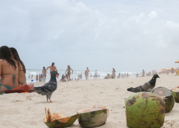 Feriados prolongados irão aumentar em 2024 (Foto: Arquivo)