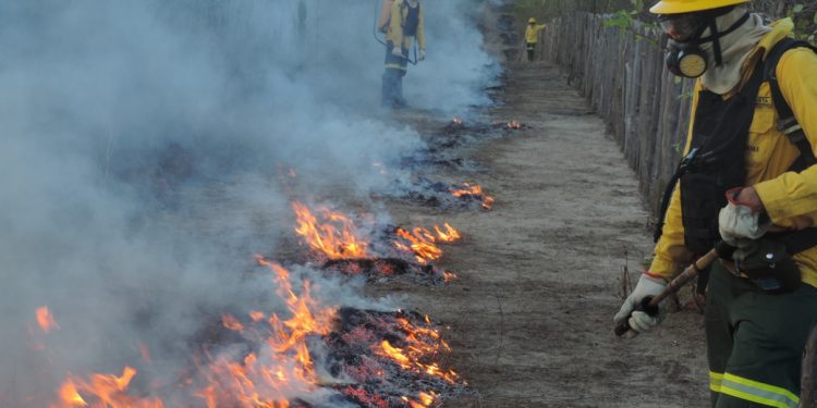 2019 tem segundo maior número de focos de incêndio dos últimos sete anos