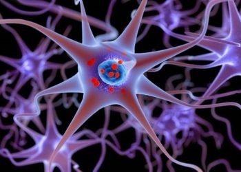 Mal de Parkinson pode ‘começar’ antes do nascimento, diz estudo