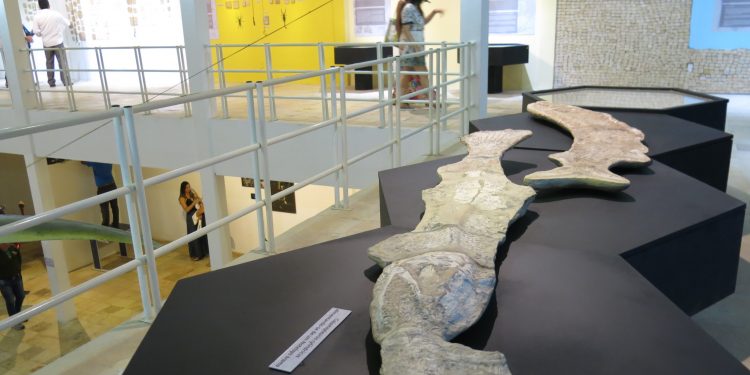 Museu de Paleontologia recebe mais de 27 mil pessoas em 2019