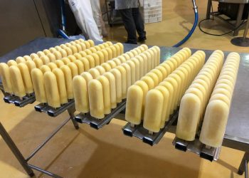 Picolé de cerveja uniu duas marcas pernambucanas para fabricar produto (Foto: Frisabor/Divulgação)