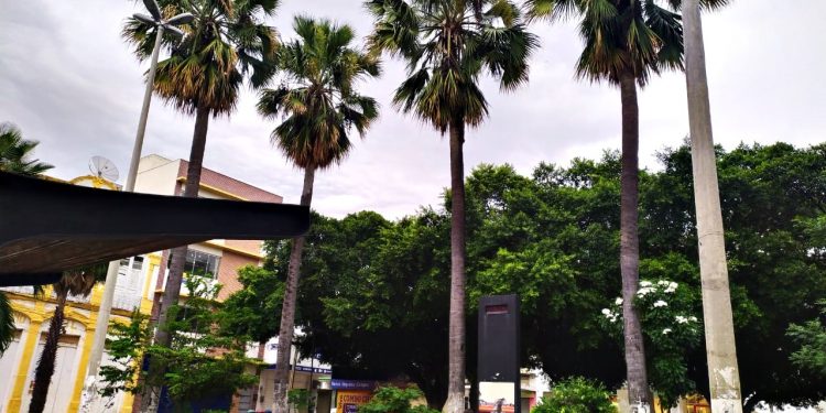 Ideias – Por J. Flávio Vieira