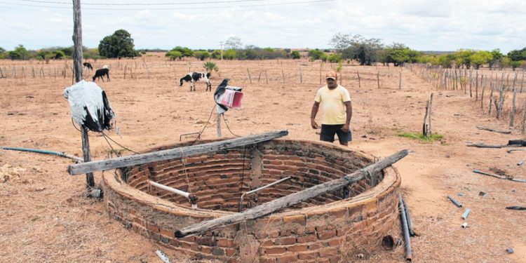 Áreas do Centro-Sul cearense enfrentam seca há oito anos
