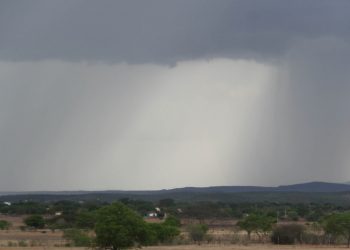 Além de garantir recarga aos reservatórios, a chuva muda a paisagem no Sertão cearense (Foto: Honório Barbosa)