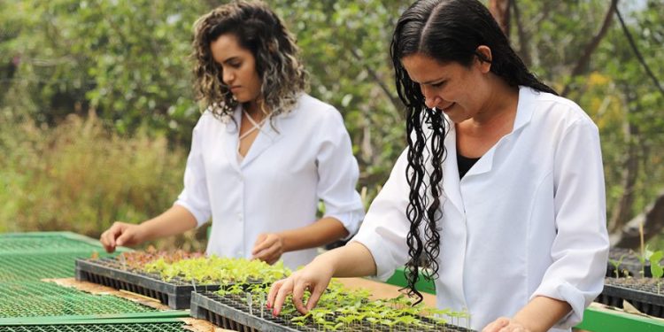 UFCA adere à Agenda Ambiental nacional na intenção de reforçar ações de educação para a sustentabilidade