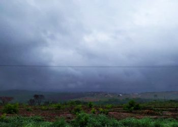 (Foto: Samuel Pinheiro/Revista Cariri)