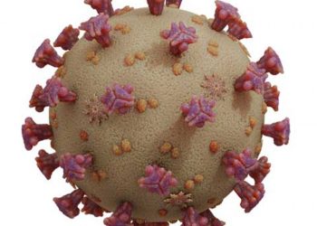 Ministério da Saúde confirma primeiro caso de coronavírus no Brasil